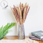 UnivBase® 35 Dried Pampas Grass Stems - Natural, Long-Lasting, Premium Quality