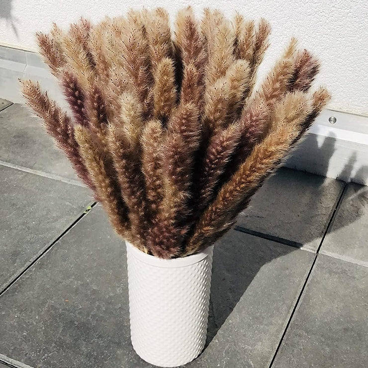 UnivBase® 35 Dried Pampas Grass Stems - Natural, Long-Lasting, Premium Quality